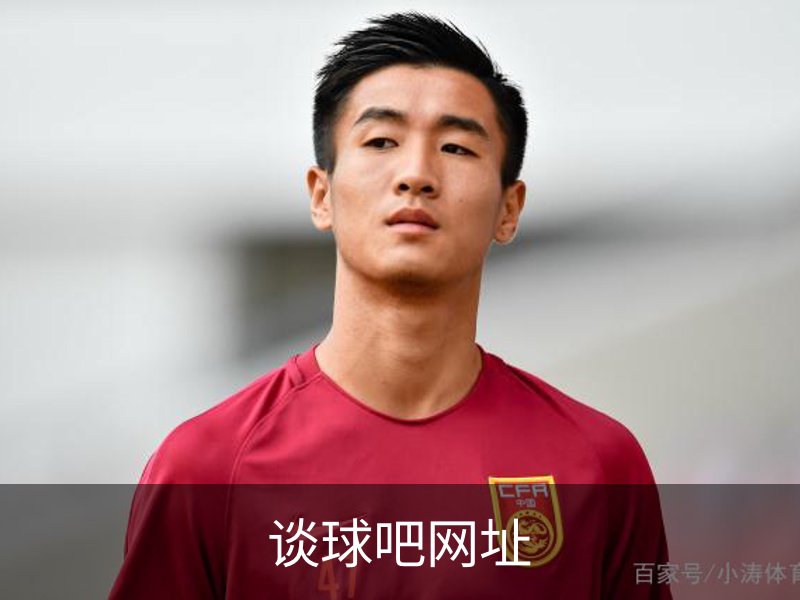 谈球吧网址介绍